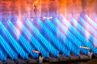 Pontyglasier gas fired boilers